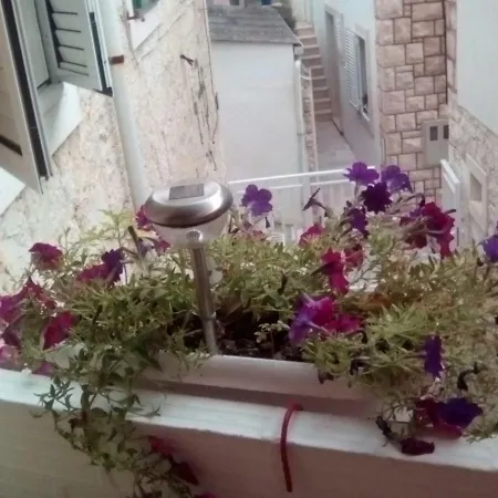 Apartamento Nada Povlja (Brac)
