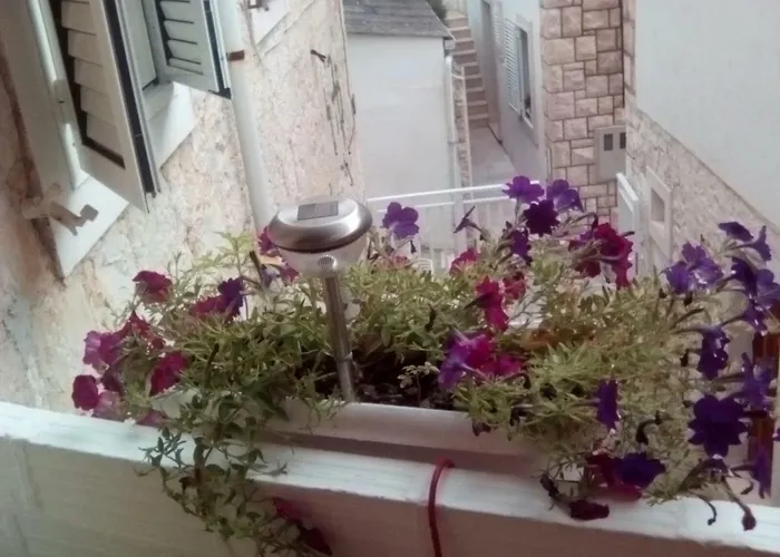 Apartment Nada Povlja (Brac)