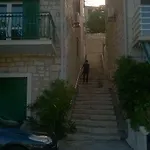 Nada Lejlighed